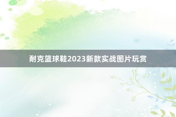 耐克篮球鞋2023新款实战图片玩赏